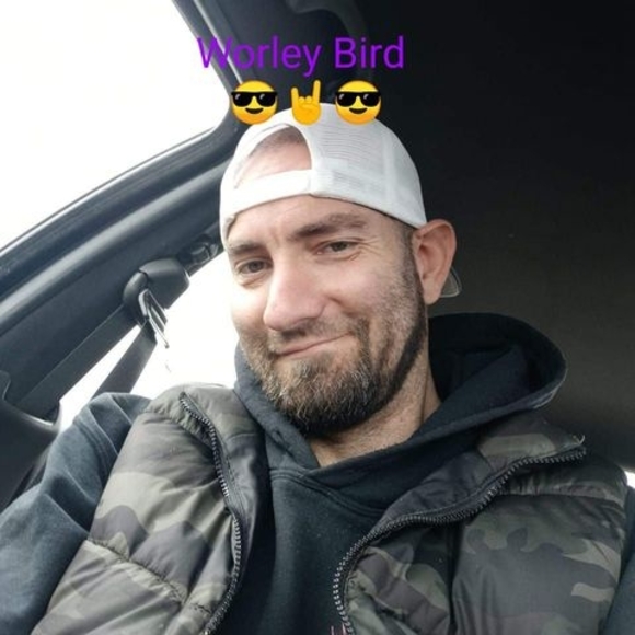 worleybird43